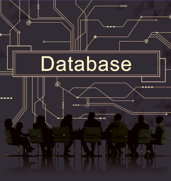 Database Support Services