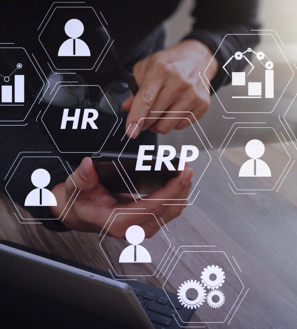 ERP application for different business processes